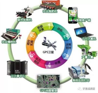 農(nóng)業(yè)大數(shù)據(jù)賦能現(xiàn)代農(nóng)業(yè) 計(jì)算機(jī)應(yīng)用驅(qū)動(dòng)下的跨越式發(fā)展